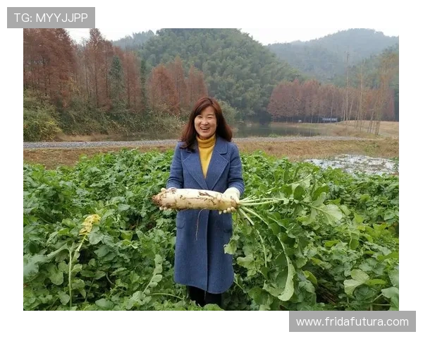 解决开云体盲困扰的实用攻略：从基础到高级的全面指导